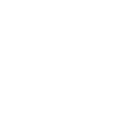 TNO